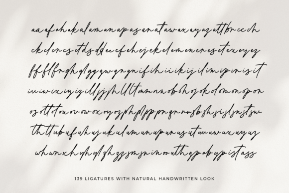 Classy Minimalist Font preview 2