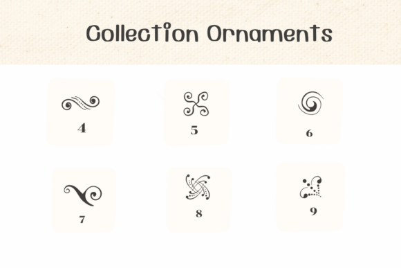 Collection Ornaments Font preview 4