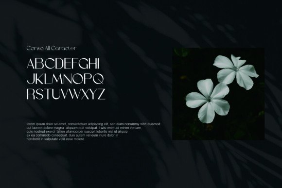 Convo Font preview 3