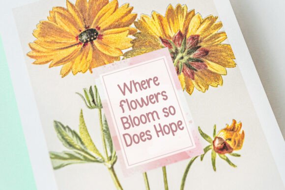 Bloomville Font preview 2