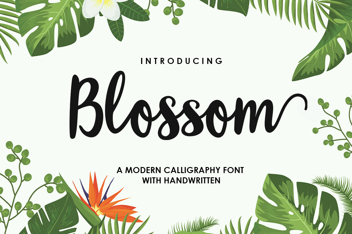 Blossom Script Font  Font