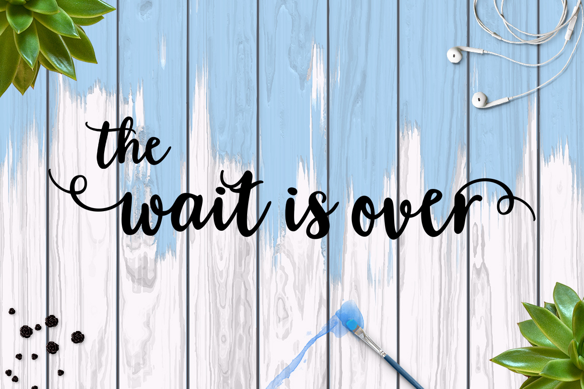 Blossom Script Font  Font preview 4