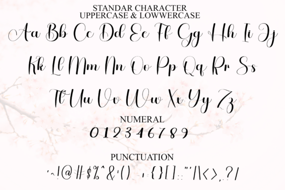 Alphabet Signature Font preview 3