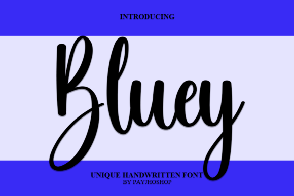 Bluey Font