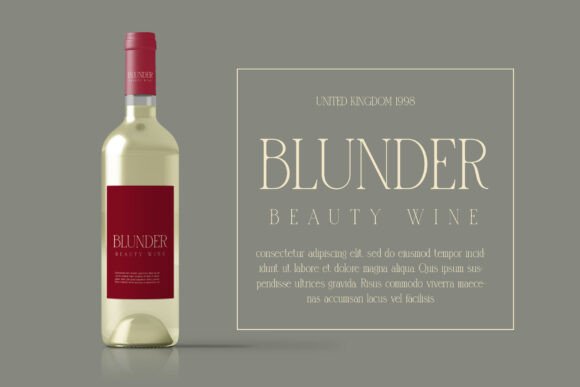 Blunder Font preview 4