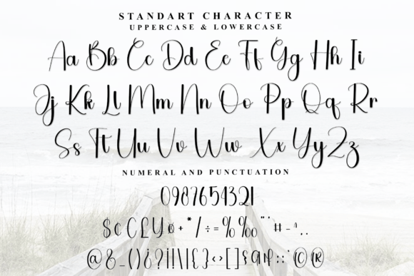 Daily Date Font preview 3
