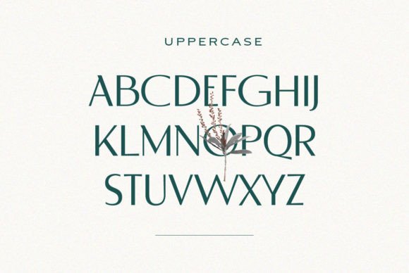 Derose Font preview 3