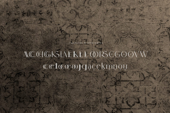 Dolce Gargia Font preview 2