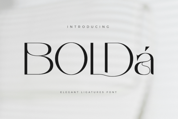 Bolda Font