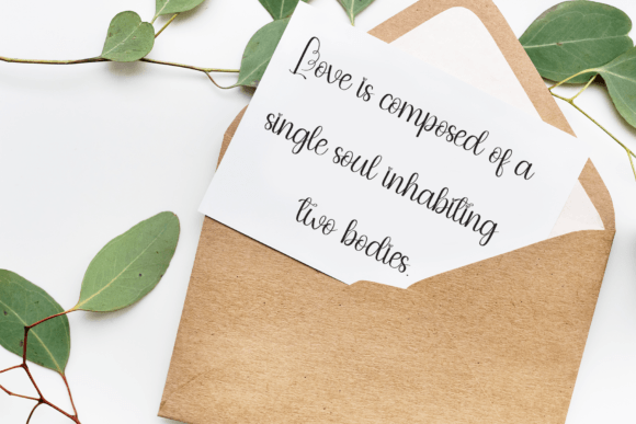 Elegant Font preview 8