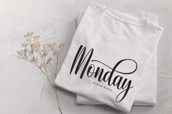 Elegant Calligraphy Font preview 4