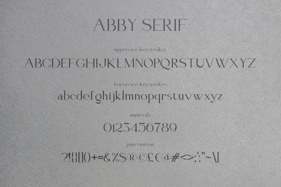 Elegant Font Abby Font preview 2