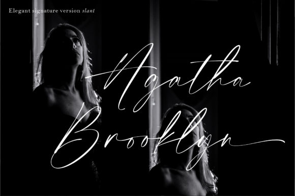 Elegant Signature Font preview 3