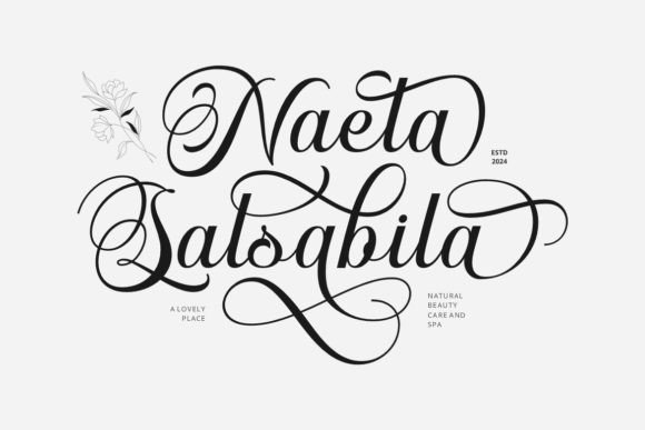 Emelina Scripts Font preview 2