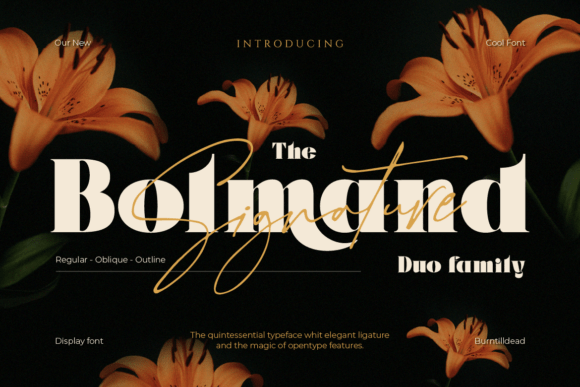 Bolmand Signature Font