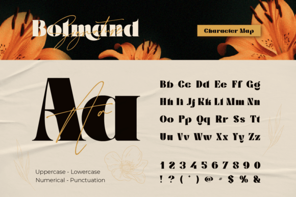 Bolmand Signature Font preview 2