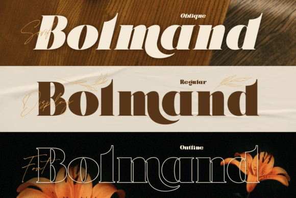 Bolmand Signature Font preview 4
