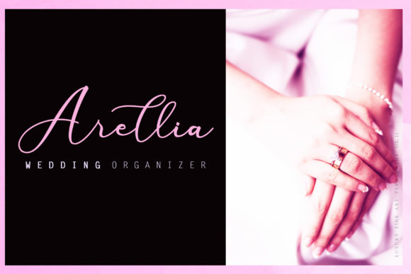 Anything Script Font preview 3