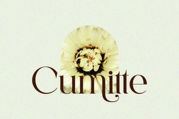 Emotte Font preview 2