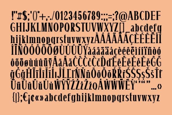 Envie Font preview 4