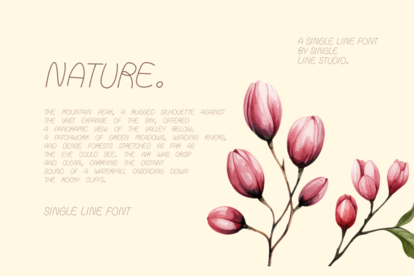 Falsify Font preview 3