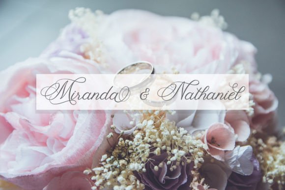Fancy Script Font preview 2
