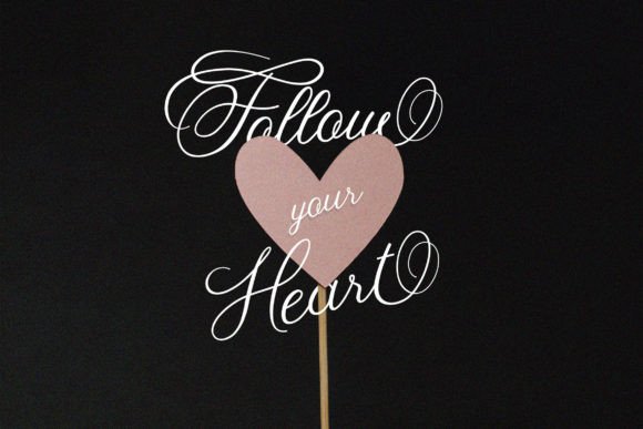 Fancy Script Font preview 3