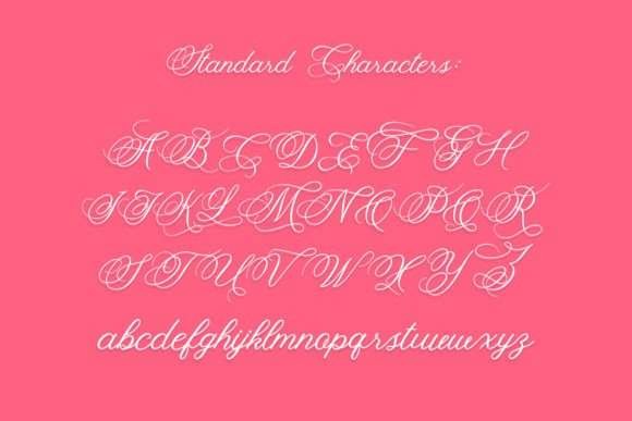 Fancy Script Font preview 4
