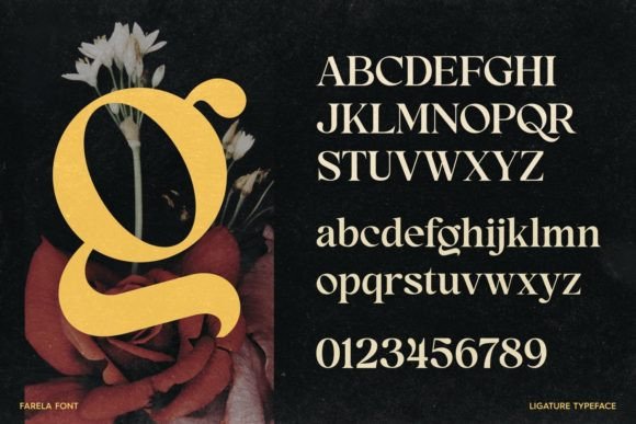 Farela Font preview 4