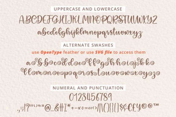 Farmhouse Flourish Font preview 2