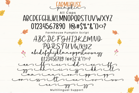 Farmhouse Pumpkin Font preview 3