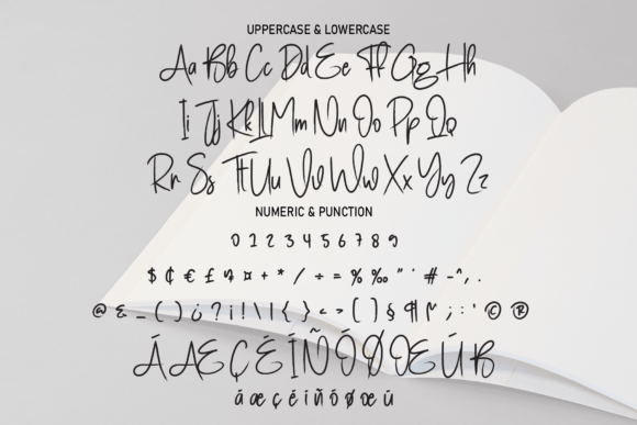 Book Signature Font preview 4