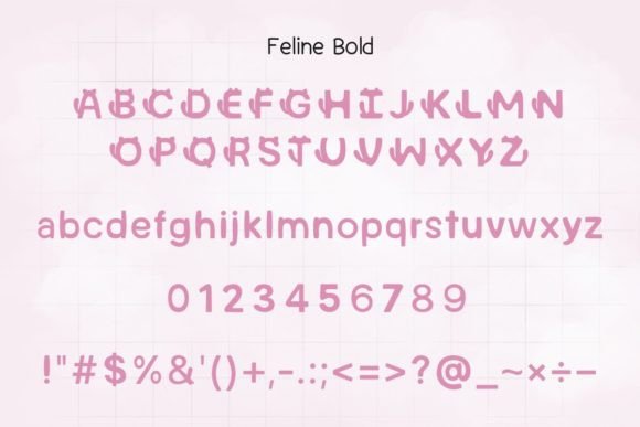 Feline Bold & Whisker Weave Font preview 4