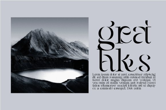 Fellee Stencil Font preview 4