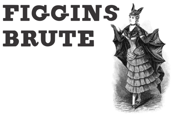 Figgins Brute Family Font preview 3
