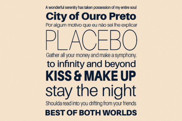 Finis Grotesk Font preview 3