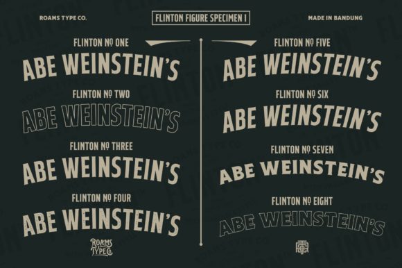 Flinton Family Font preview 2