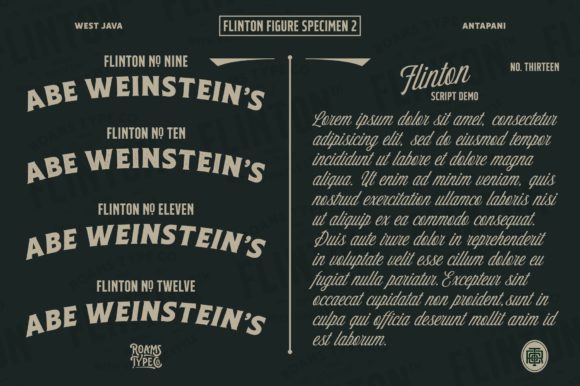 Flinton Family Font preview 3