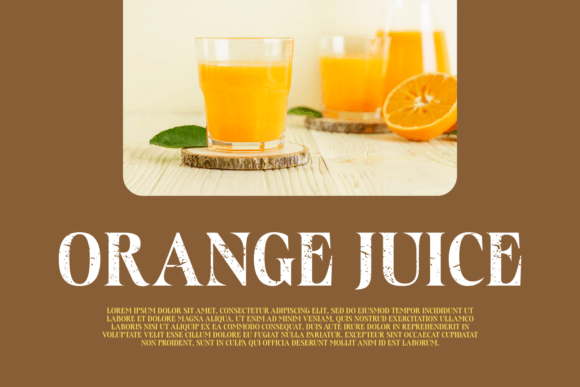 Florida Vintage Font preview 4