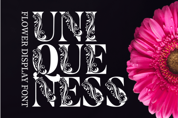 Flower Display Font preview 2
