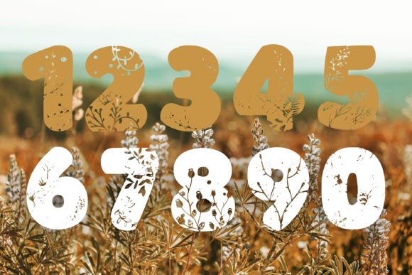 Flower Lover Font preview 4