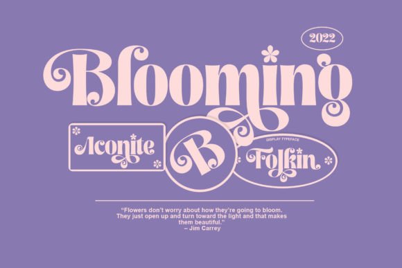 Folkin Font preview 4