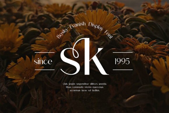 Bosky Evanish Font preview 3