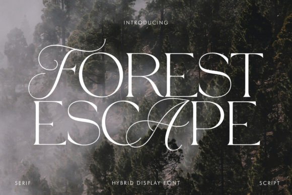 Forest Escape Font