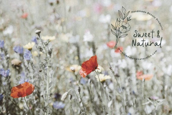 Botanical Garden  Font preview 4