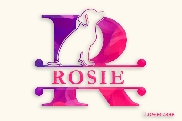 Archie Monogram Font preview 3