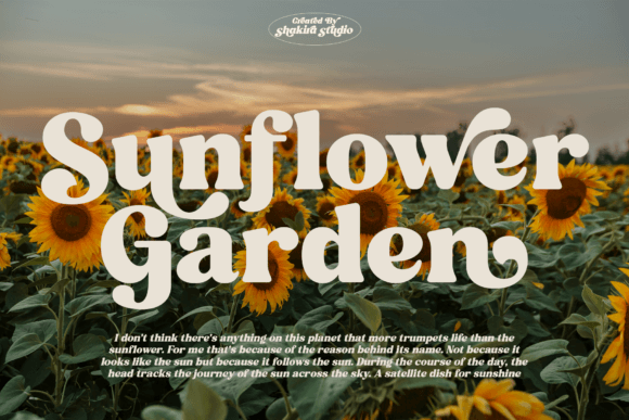 Fresh Mango Font preview 3