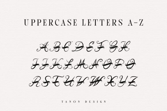 Froero Monogram Font preview 3