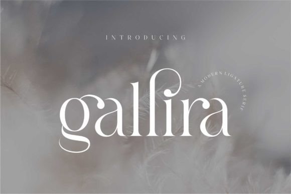 Gallira Font