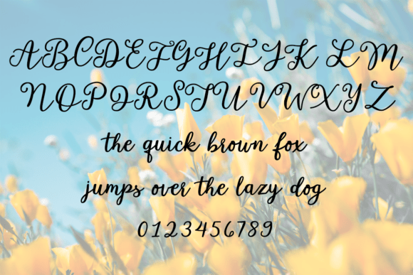 Garden Whimsy Font preview 3